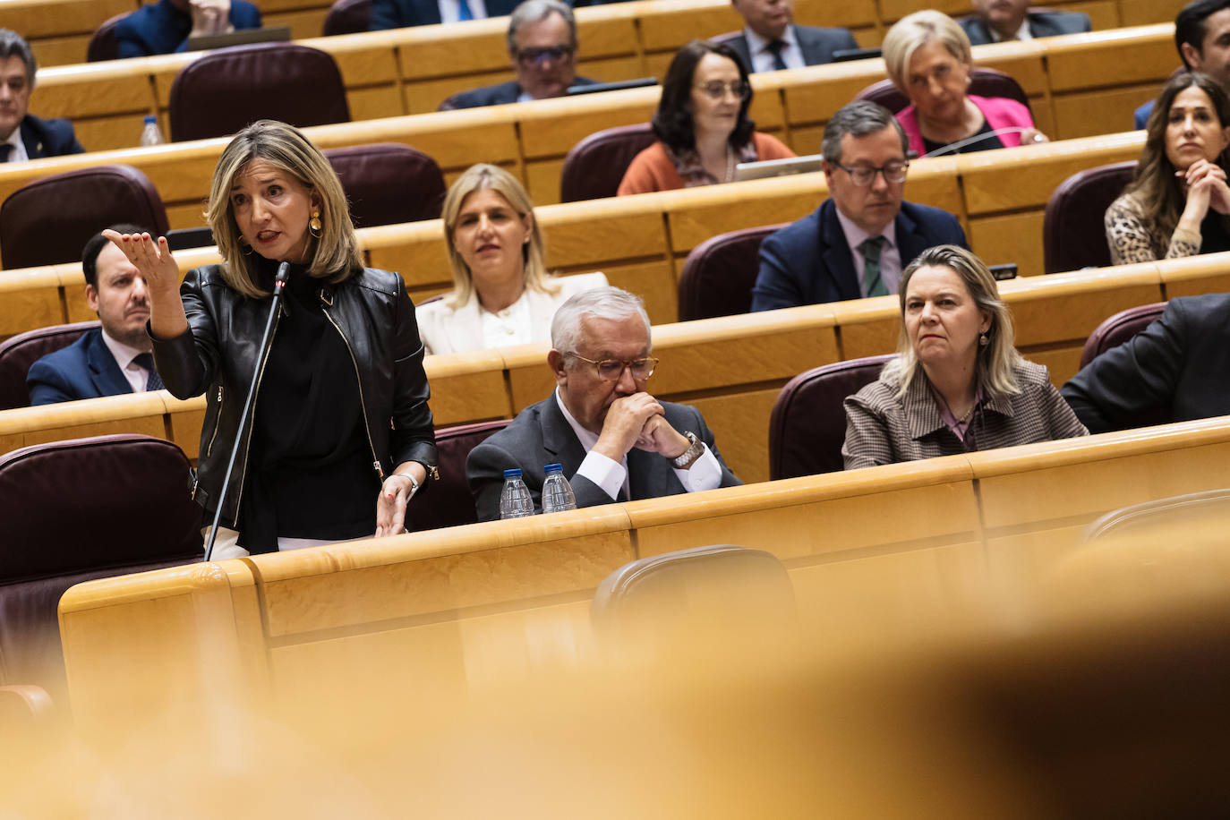 Alicia García, portavoz del PP en el Senado, durante un pleno