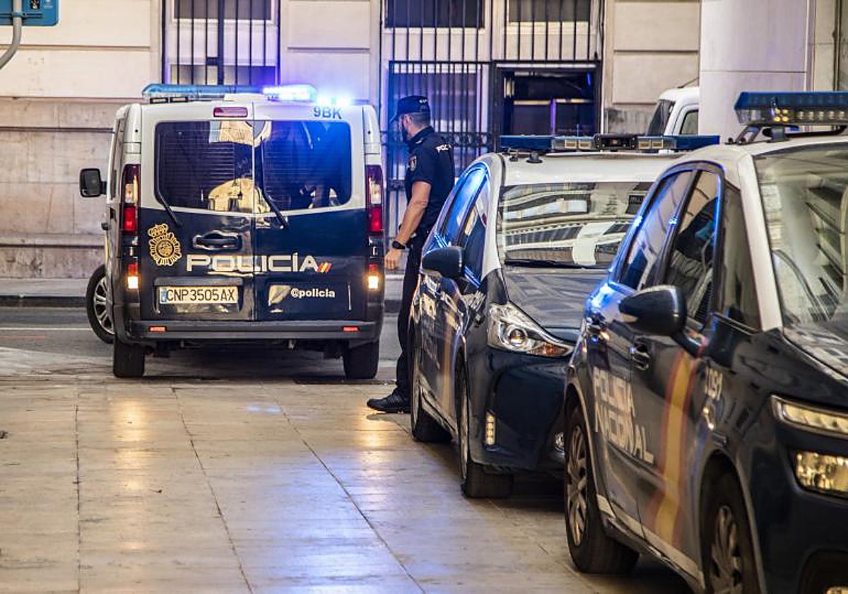Prisión provisional y sin fianza para el autor del atropello mortal a ...