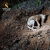 Investigan en Cuenca al dueño de un perro por matarlo a golpes con un objeto contundente