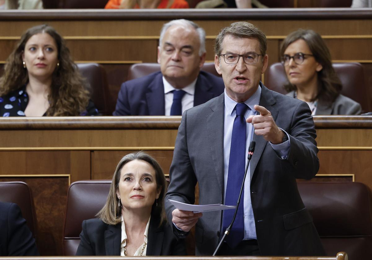 El presidente del PP, Alberto Núñez Feijóo, en la sesión de control al Gobierno de Pedro Sánchez