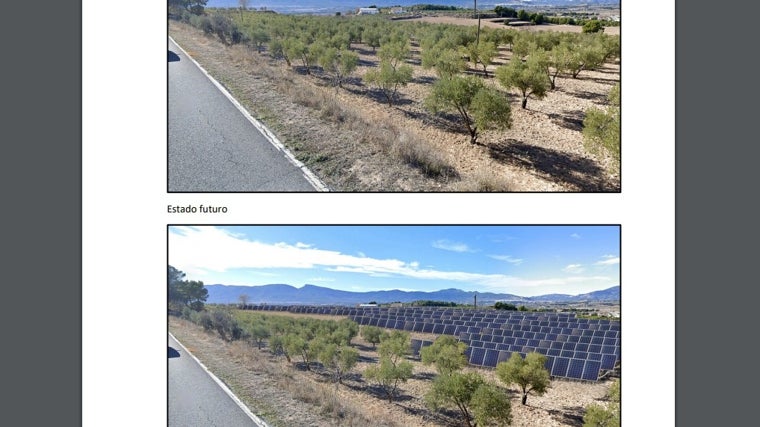 Imágenes actuales y del «futuro» de unos terrenos de olivar cuando se instalen las placas solares fotovoltaicas, incluidas en el proyecto presentado ante la Administración.