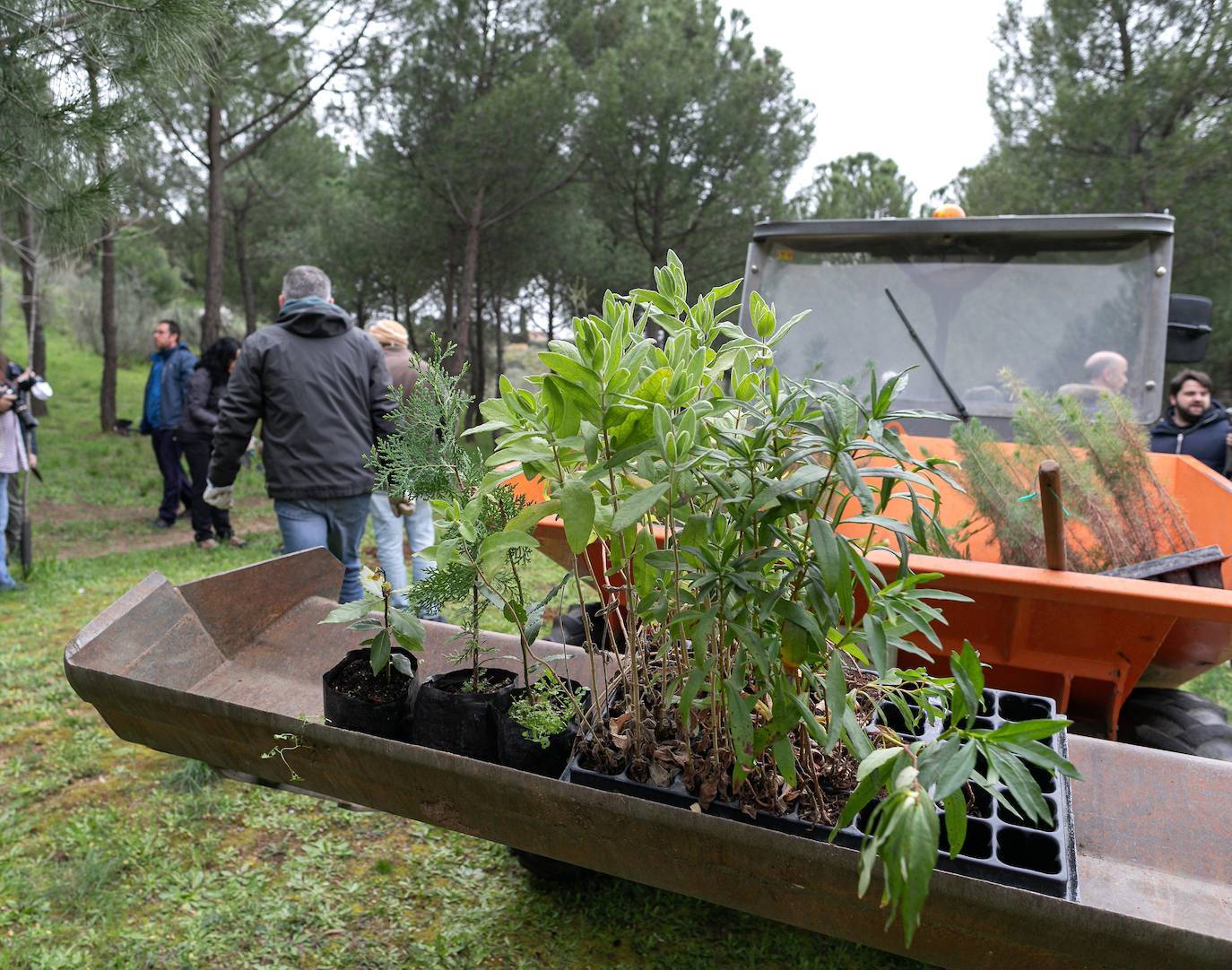 Los vecinos de &#039;La Legua&#039; celebran el &#039;Día del Arbol&#039;