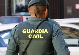 Detenidos por robar dos toneladas y media de aceitunas en la provincia de Granada