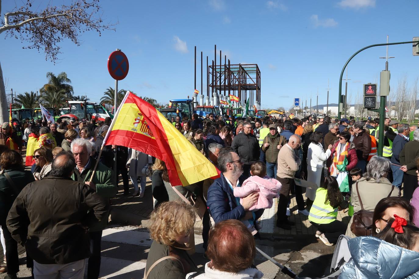 Fotos: La tractorada del campo este domingo en Córdoba