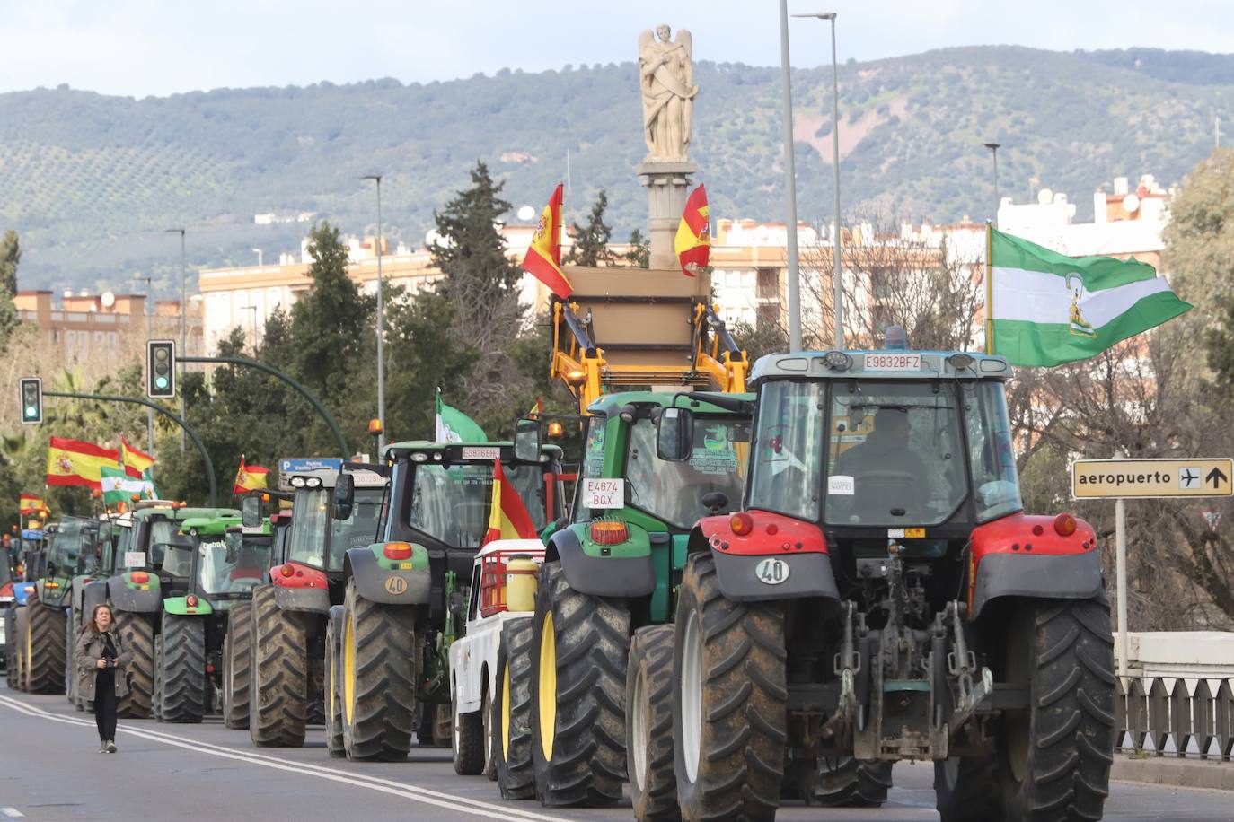 Fotos: La tractorada del campo este domingo en Córdoba