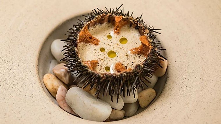 El erizo a la salsa del café del Agreste