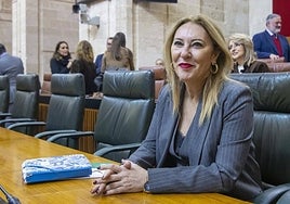 Los fondos europeos de recuperación llegan a su ecuador en Andalucía con el 62% del gasto «activado» y el 42% comprometido