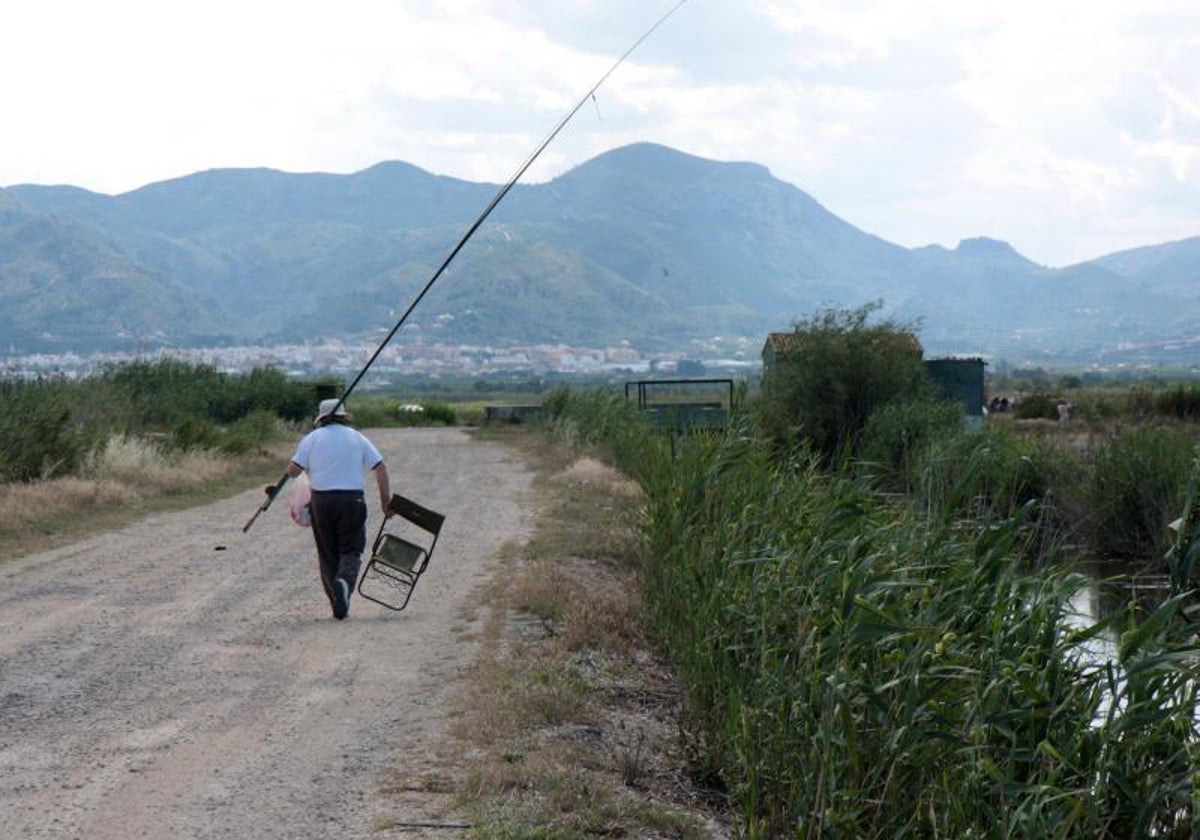 Un pescador en el parque natural de la Marjal de Pego-Oliva.