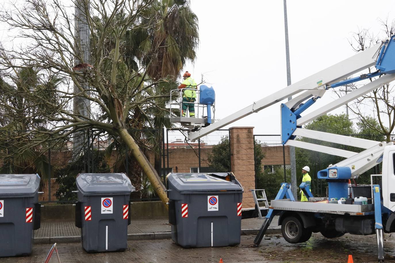 Fotos: los estragos de la lluvia y el viento en Córdoba