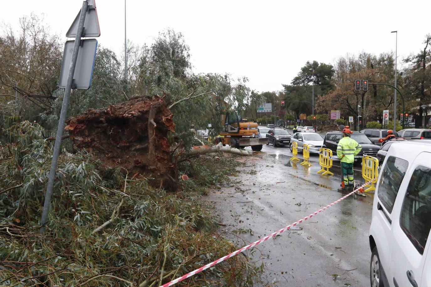 Fotos: los estragos de la lluvia y el viento en Córdoba