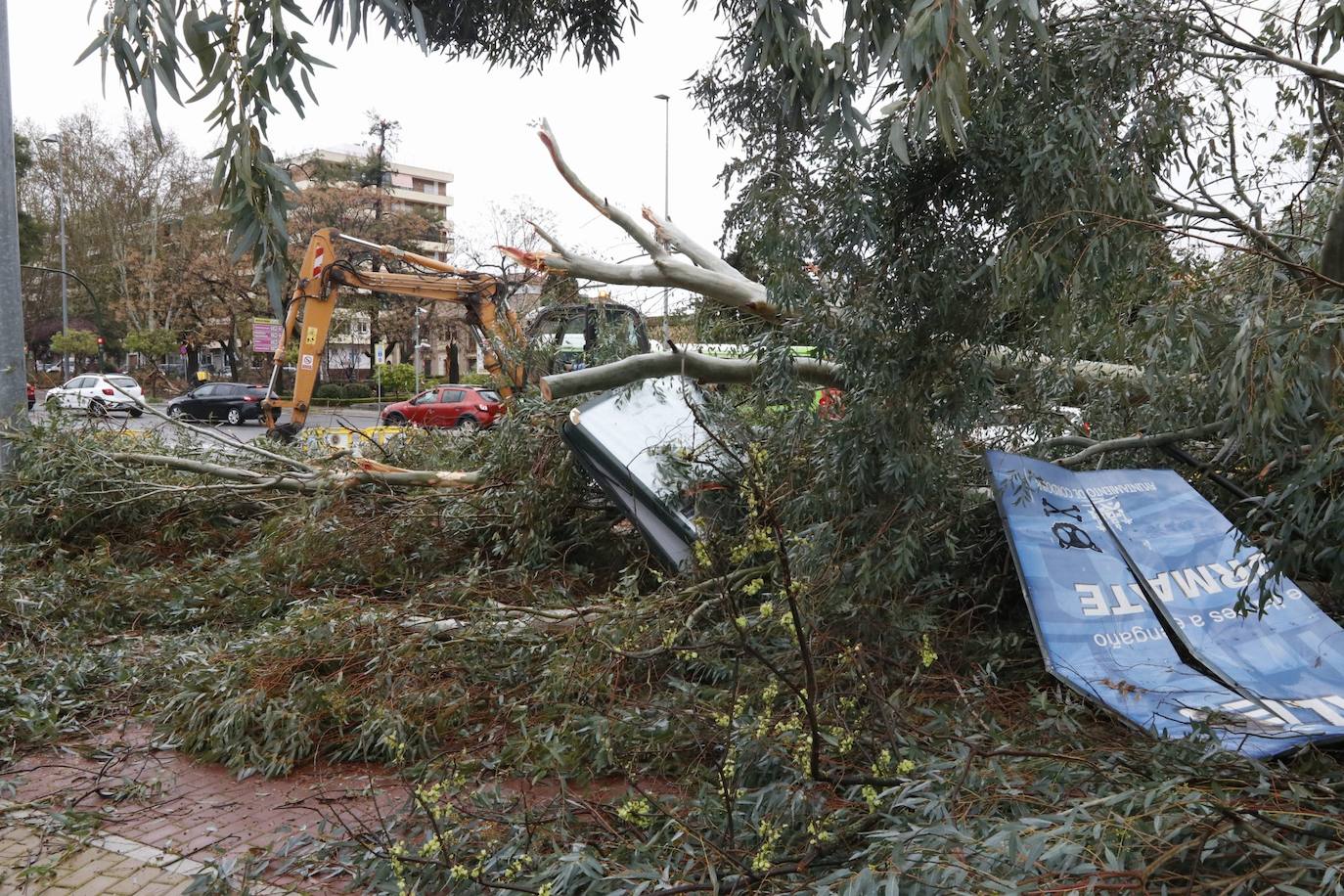 Fotos: los estragos de la lluvia y el viento en Córdoba