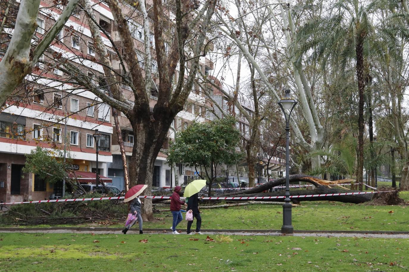 Fotos: los estragos de la lluvia y el viento en Córdoba