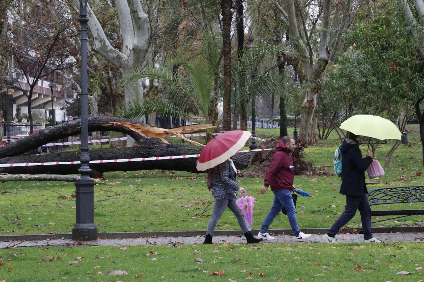 Fotos: los estragos de la lluvia y el viento en Córdoba