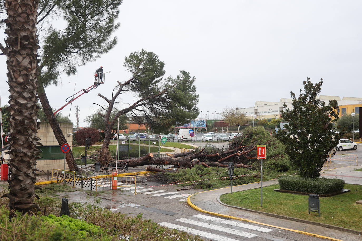 Fotos: los estragos de la lluvia y el viento en Córdoba