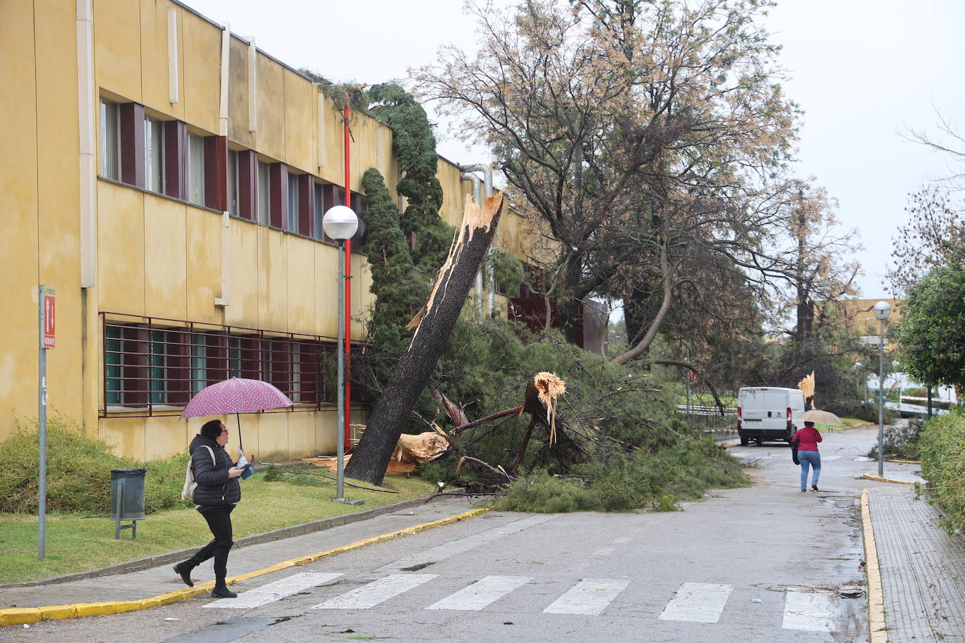 Fotos: los estragos de la lluvia y el viento en Córdoba