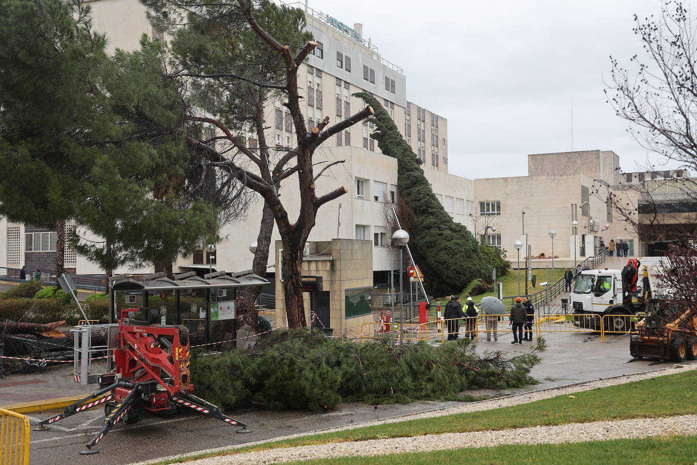 Fotos: los estragos de la lluvia y el viento en Córdoba