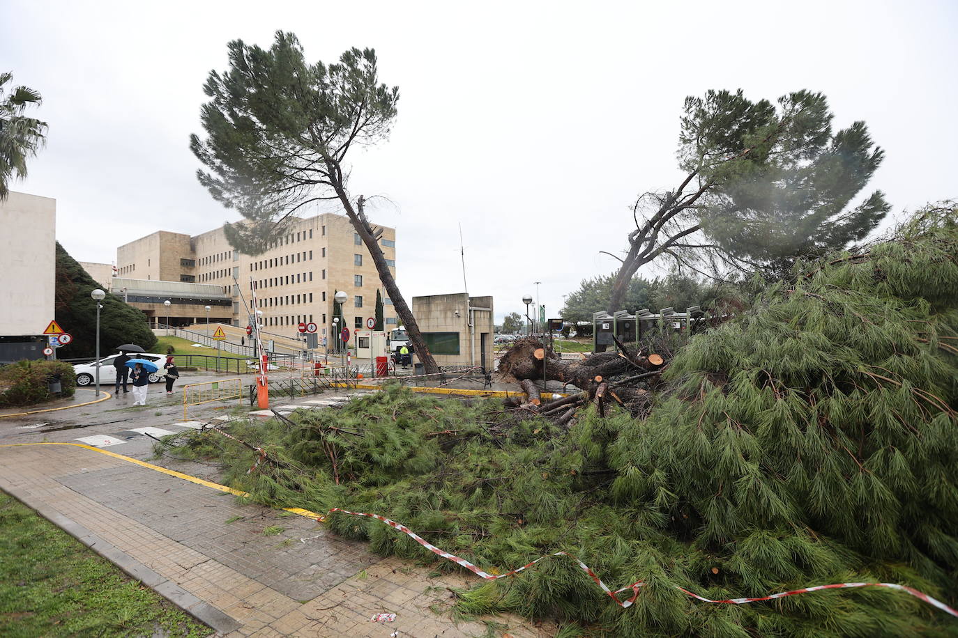 Fotos: los estragos de la lluvia y el viento en Córdoba