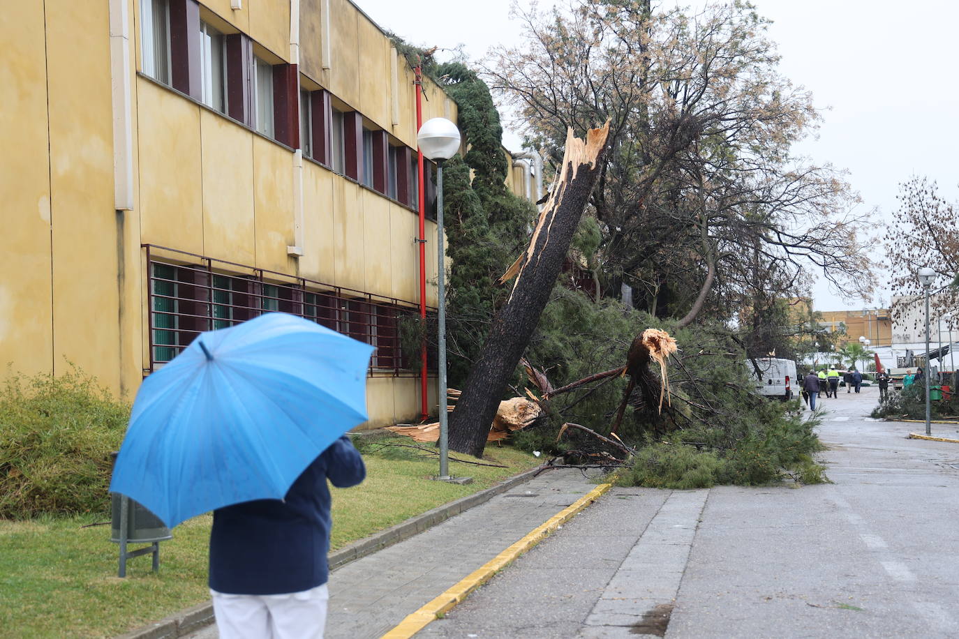 Fotos: los estragos de la lluvia y el viento en Córdoba