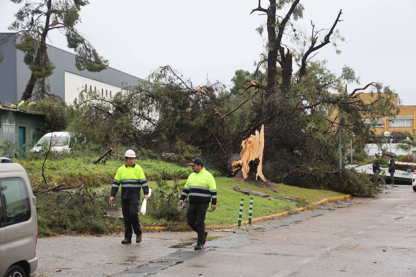 Fotos: los estragos de la lluvia y el viento en Córdoba