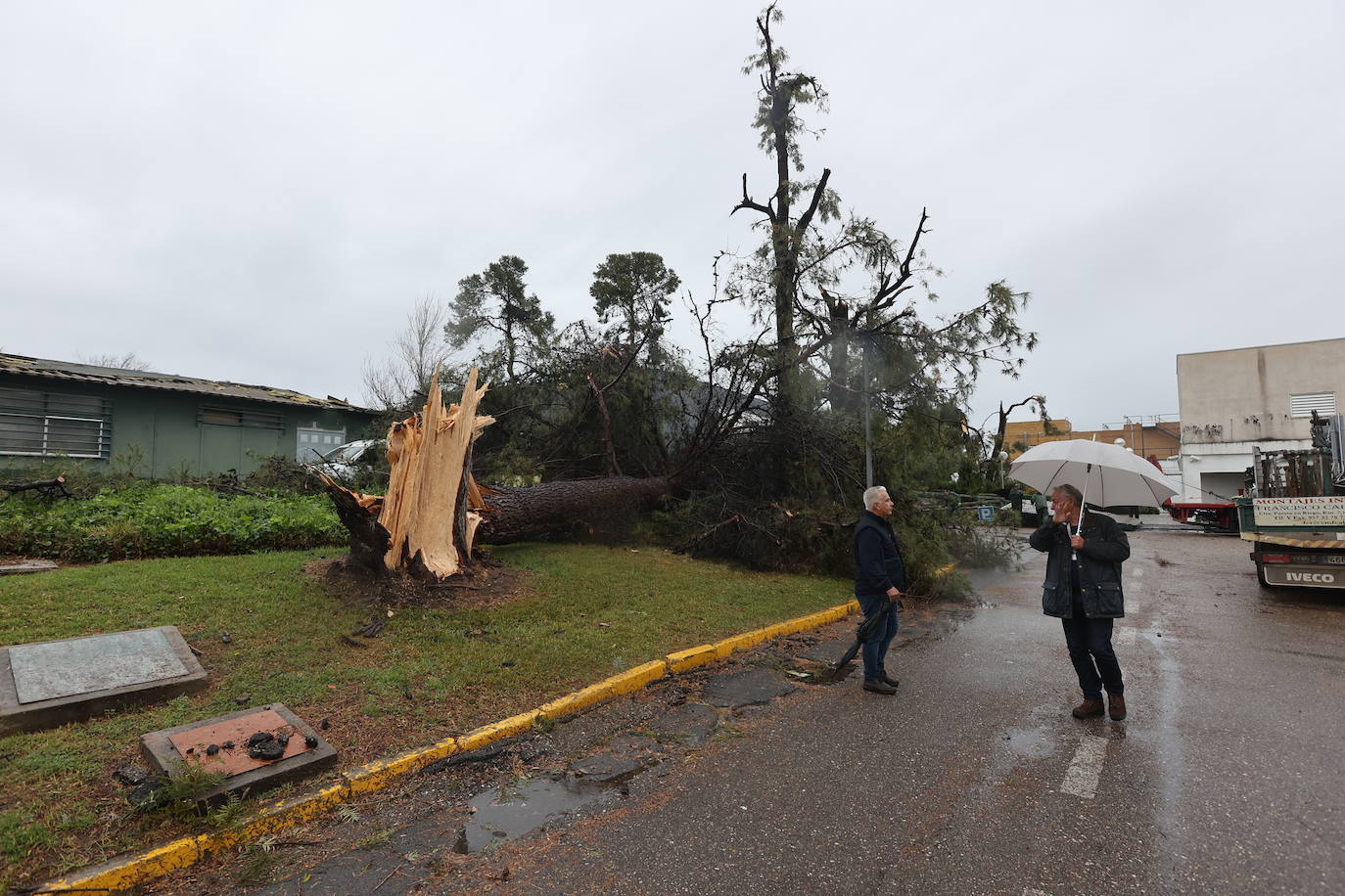 Fotos: los estragos de la lluvia y el viento en Córdoba