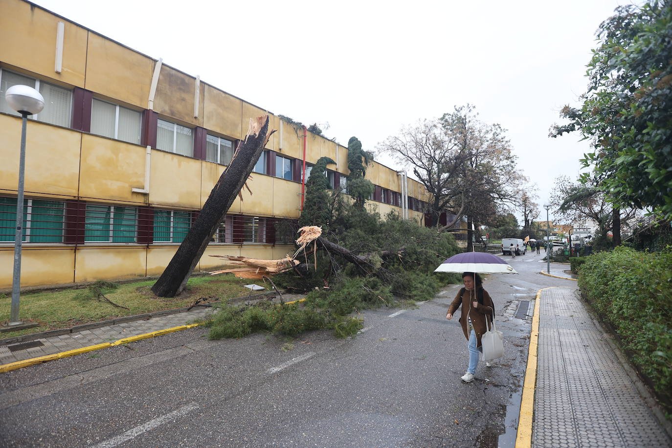 Fotos: los estragos de la lluvia y el viento en Córdoba