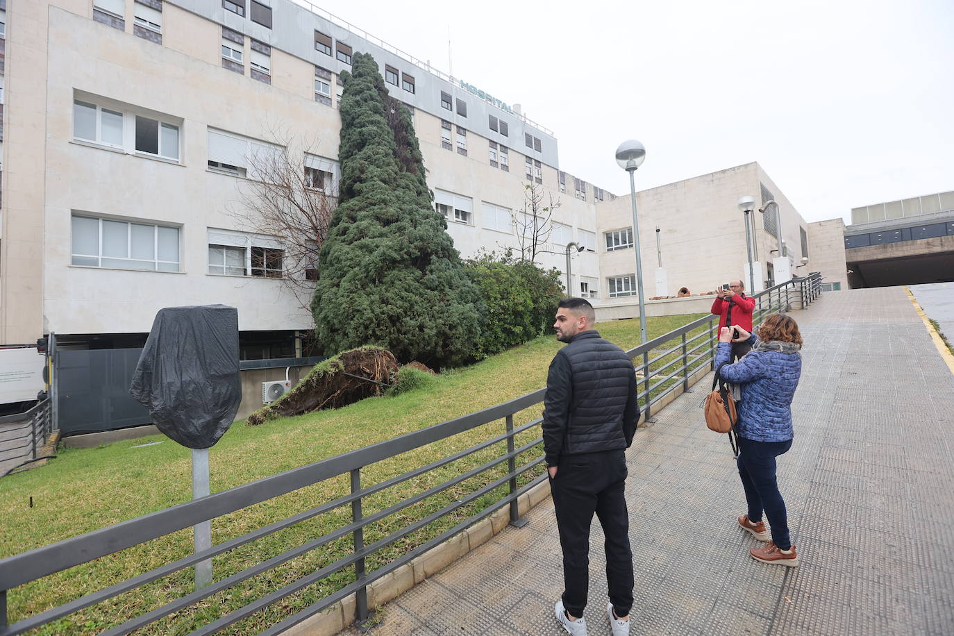 Fotos: los estragos de la lluvia y el viento en Córdoba