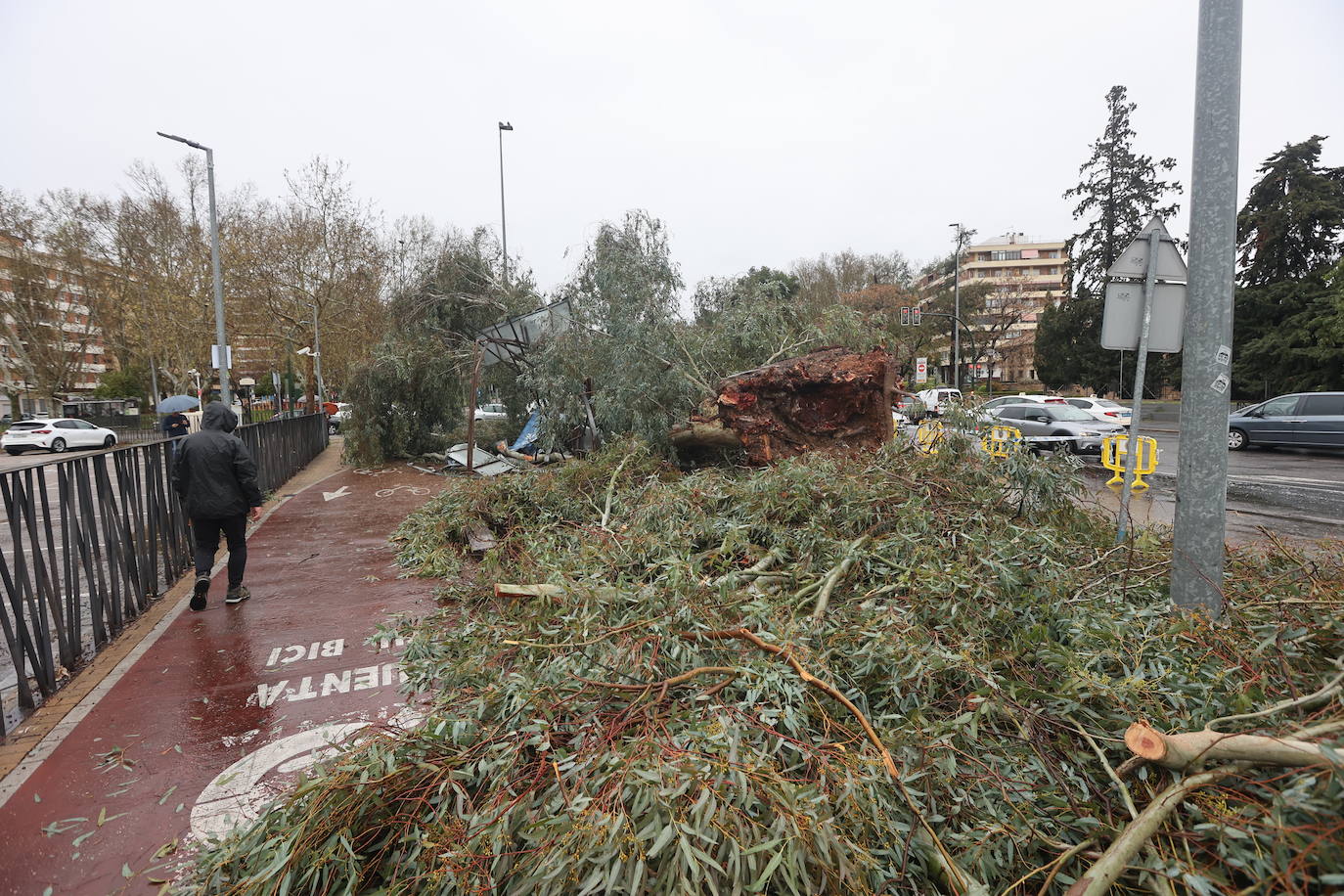 Fotos: los estragos de la lluvia y el viento en Córdoba
