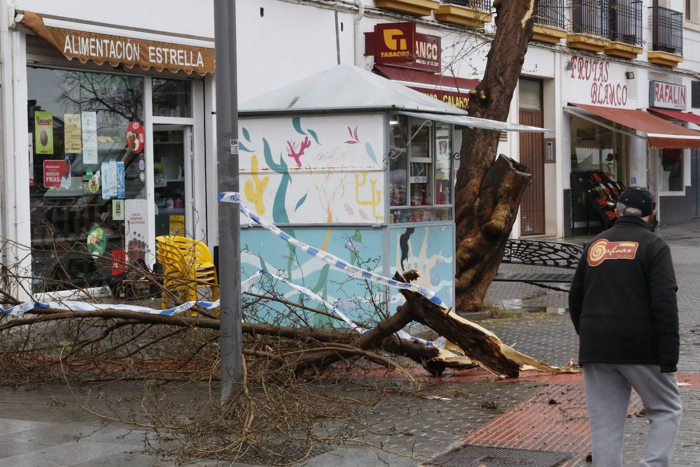 Fotos: los estragos de la lluvia y el viento en Córdoba
