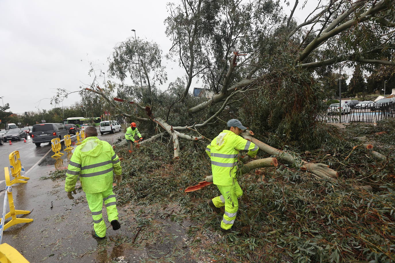 Fotos: los estragos de la lluvia y el viento en Córdoba