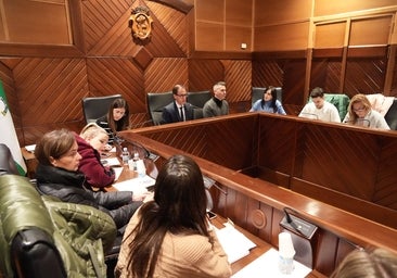 El grupo municipal del PP en Pozoblanco decide expulsar al edil Gerardo Arévalo