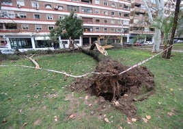 ¿Por qué se produjo un tornado con dos entradas en Córdoba?