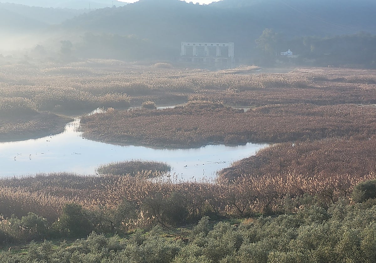 Vista del embalse del Cordobilla