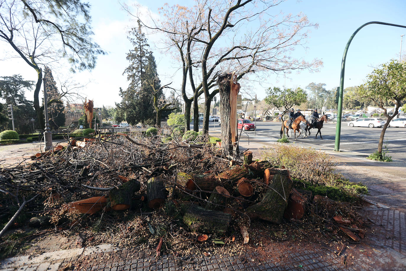 Fotos: operarios intentan recomponer el paisaje urbano de Córdoba tras el tornado