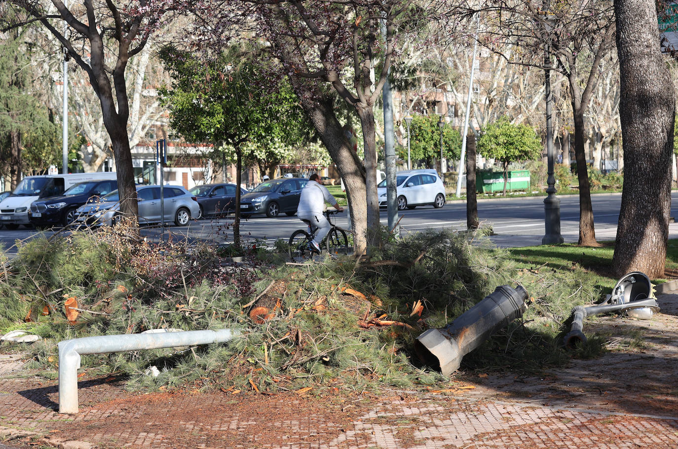 Fotos: operarios intentan recomponer el paisaje urbano de Córdoba tras el tornado
