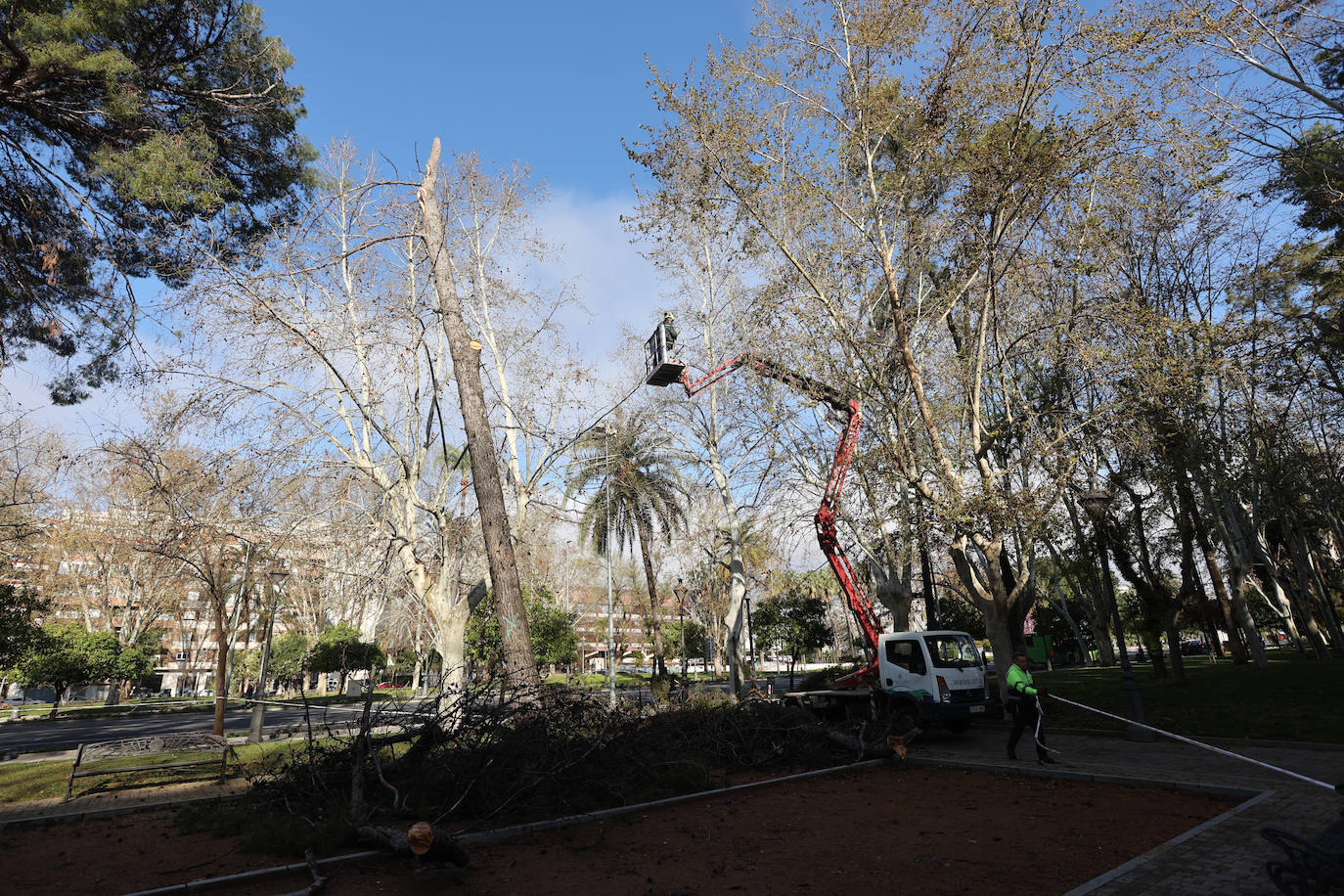 Fotos: operarios intentan recomponer el paisaje urbano de Córdoba tras el tornado