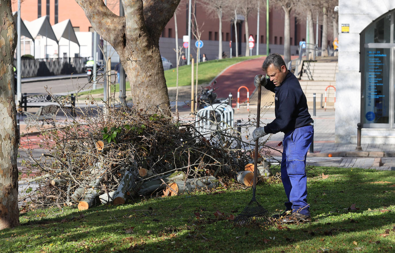 Fotos: operarios intentan recomponer el paisaje urbano de Córdoba tras el tornado