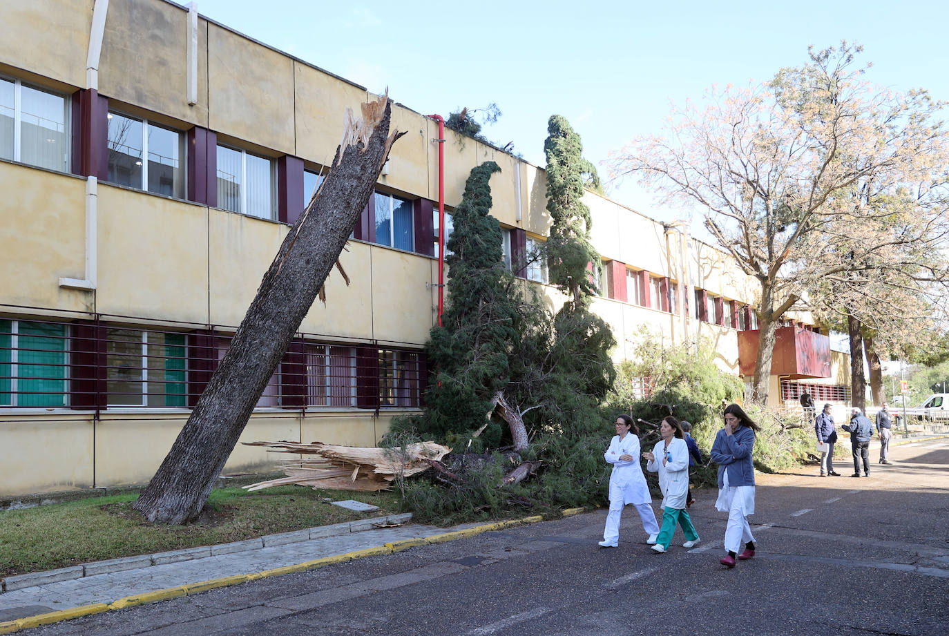 Fotos: operarios intentan recomponer el paisaje urbano de Córdoba tras el tornado
