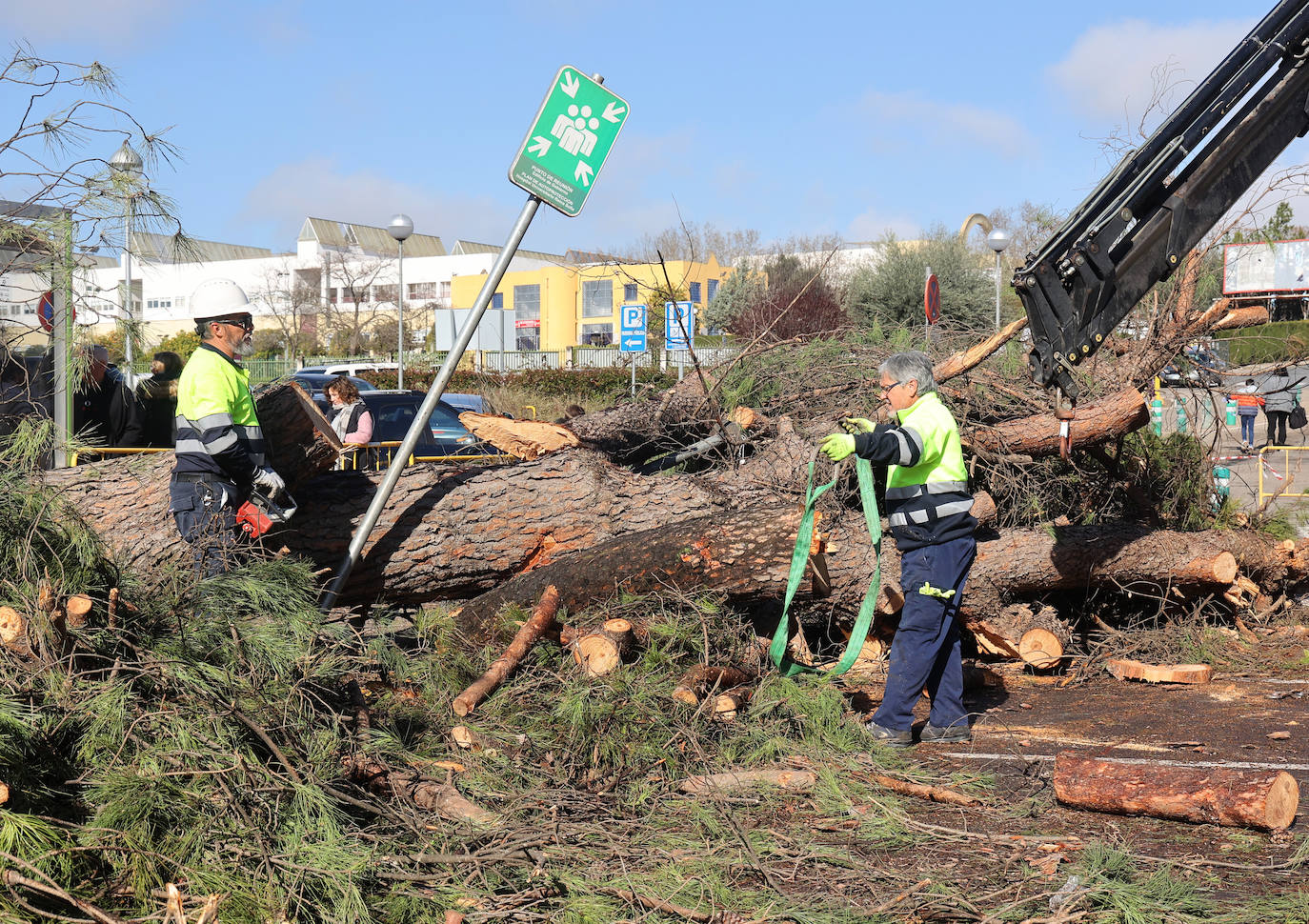 Fotos: operarios intentan recomponer el paisaje urbano de Córdoba tras el tornado