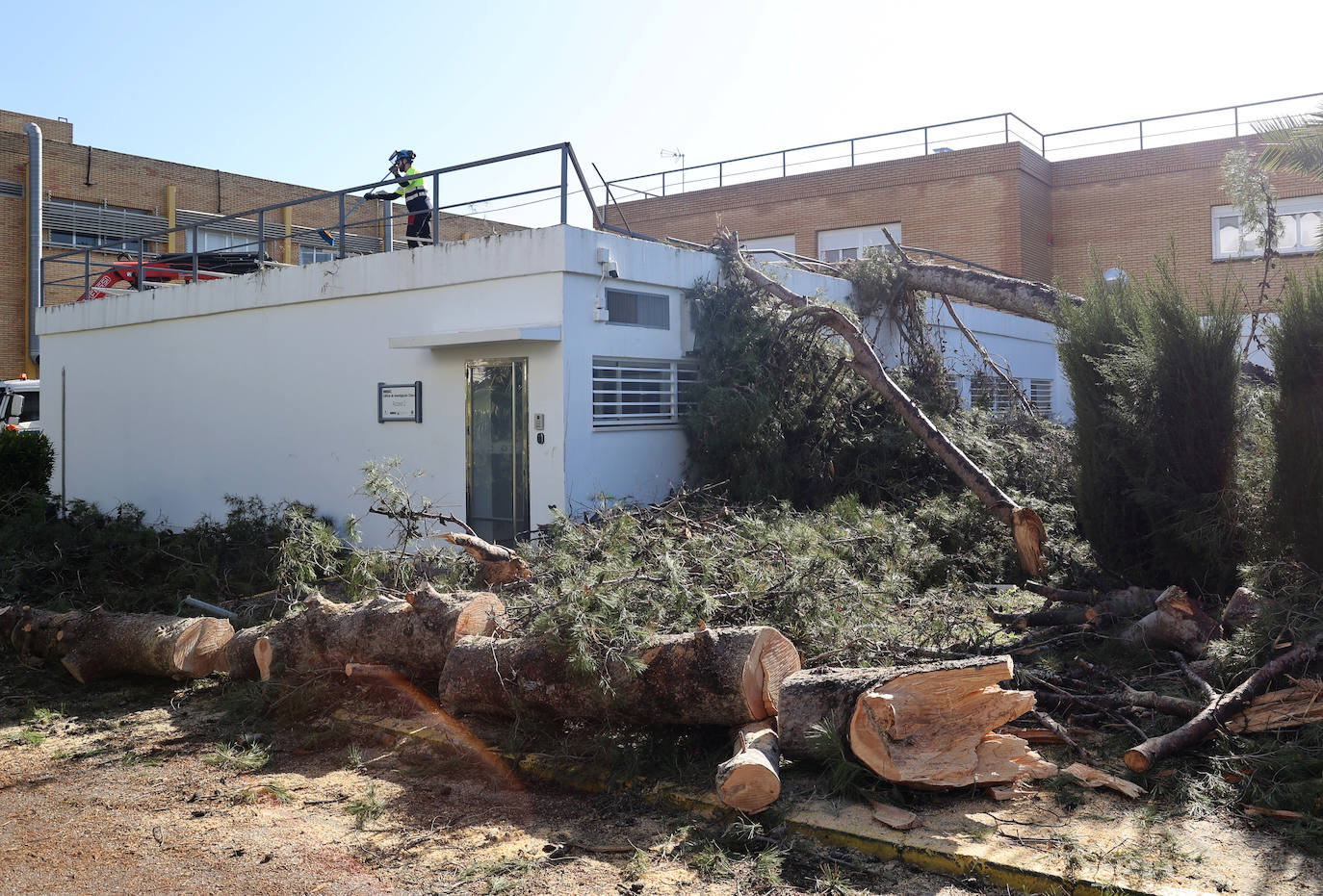Fotos: operarios intentan recomponer el paisaje urbano de Córdoba tras el tornado