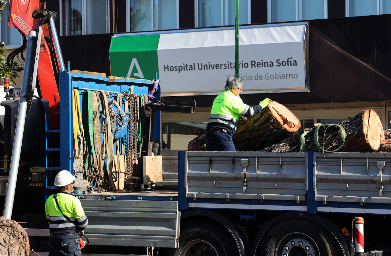 Fotos: operarios intentan recomponer el paisaje urbano de Córdoba tras el tornado