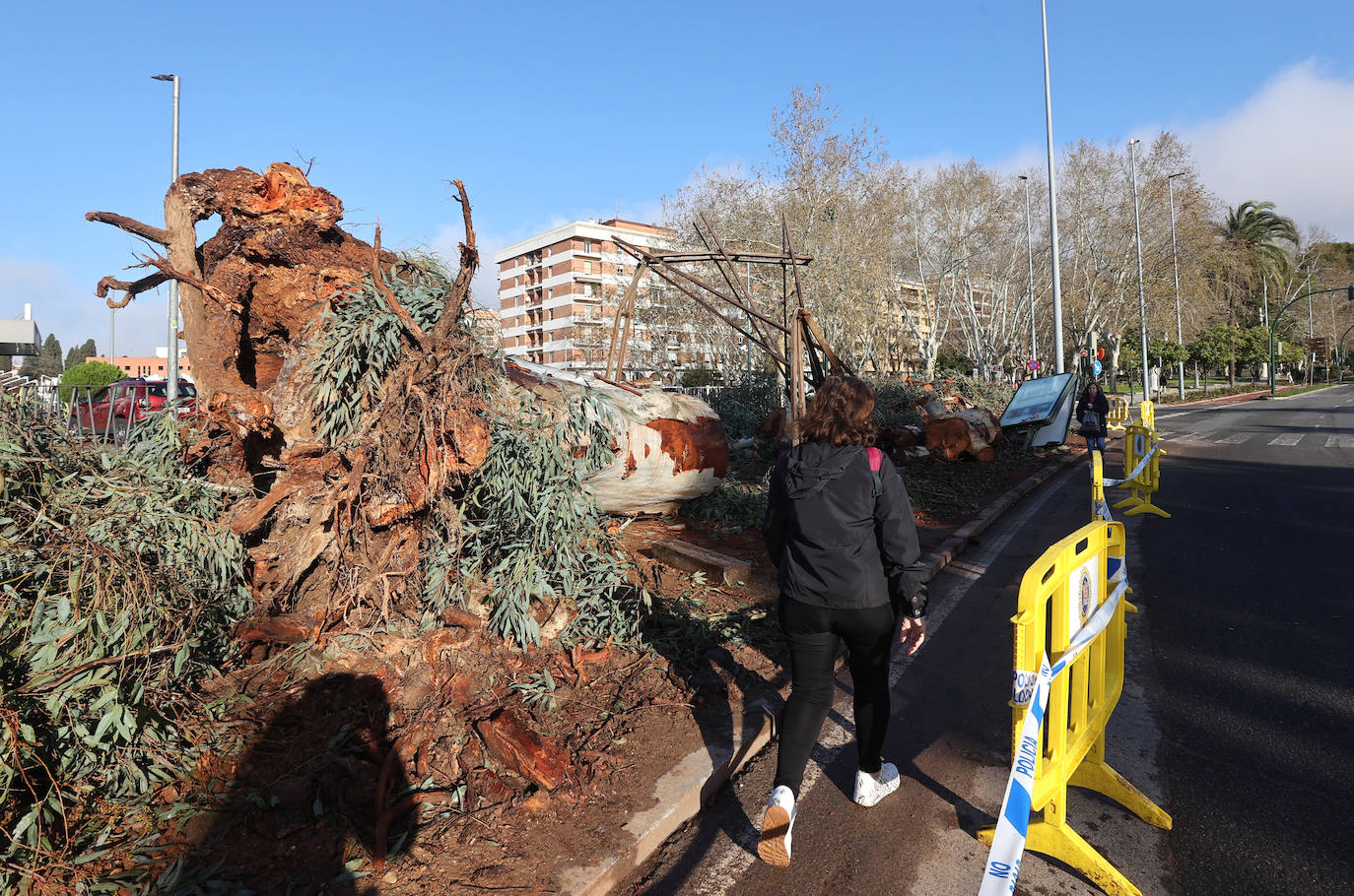 Fotos: operarios intentan recomponer el paisaje urbano de Córdoba tras el tornado