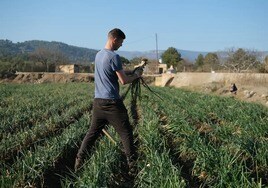 La Junta aprueba ayudas de 25 millones para la mejora de explotaciones de jóvenes agricultores