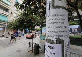 Estos son los barrios donde más subió el alquiler de los pisos en Córdoba en los últimos cinco años