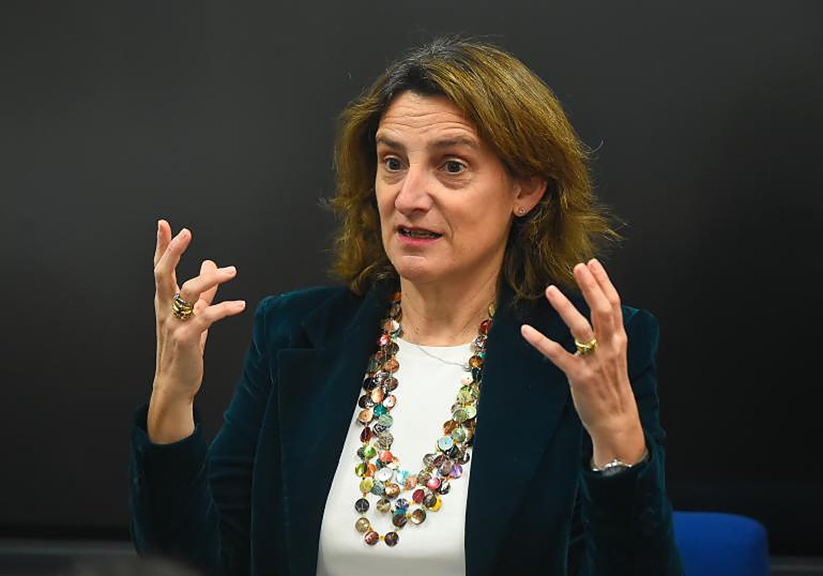 Teresa Ribera en su visita a Málaga