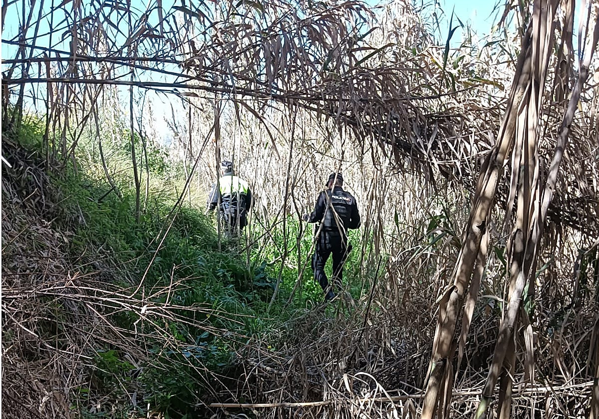 Nuevo operativo de búsqueda de Pedro Mayorgas en Lucena, el hombre de ...