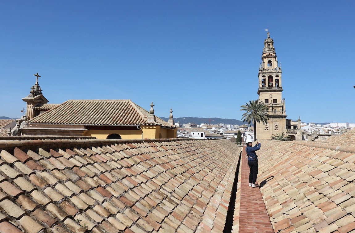 Fotos: la restauración de las cúpulas de la maqsura de la Mezquita-Catedral de Córdoba