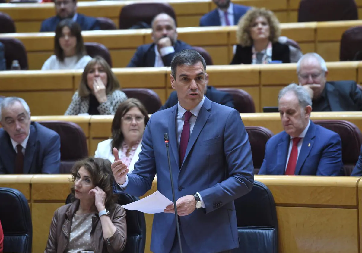 Pedro Sánchez, durante su intervención en el control al Gobierno del Senado