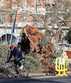 Imagen secundaria 2 - Tornado de más de 100 kilómetros por hora en Córdoba: el análisis de tres expertos