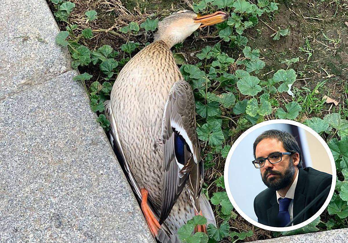 El nuevo fichaje de Óscar Puente es el responsable de difundir el bulo del pato muerto en la mascletá de Madrid