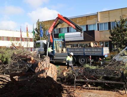 Imagen secundaria 1 - Tornado de más de 100 kilómetros por hora en Córdoba: el análisis de tres expertos